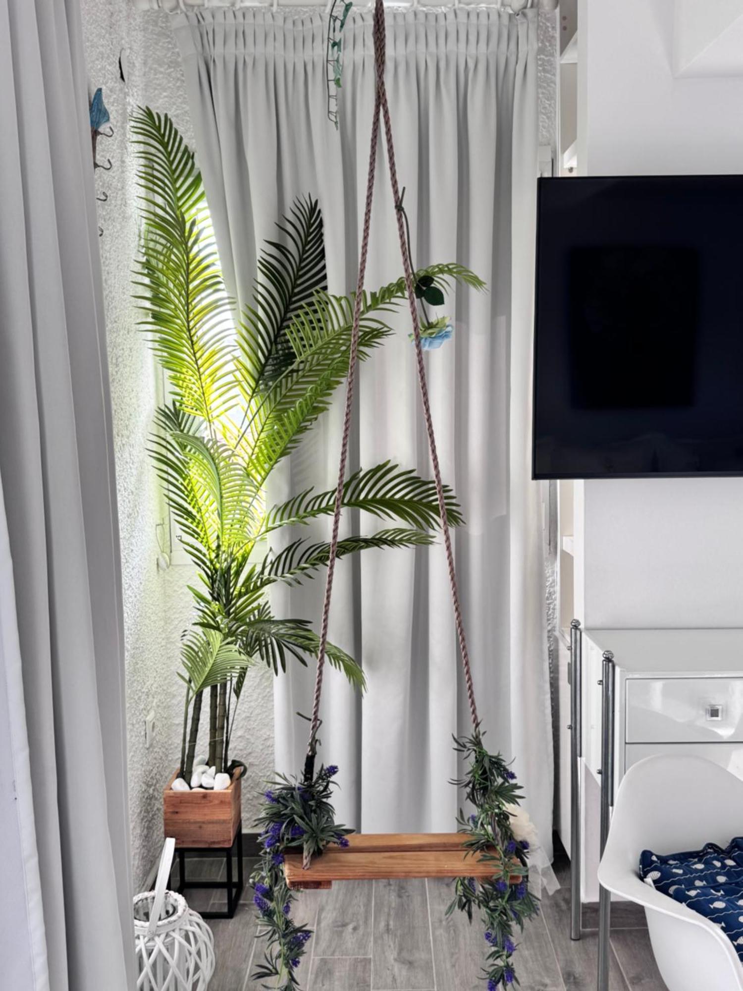 Apartment Dedis *